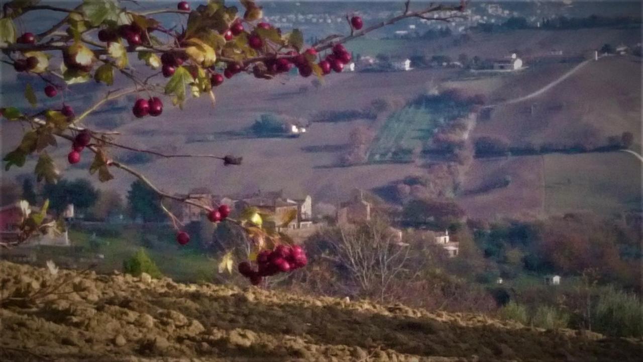 Barbagianni Villa Senigallia Eksteriør bilde